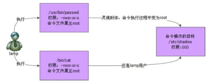 image-20210705224647783