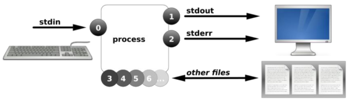 image-20210706205734906