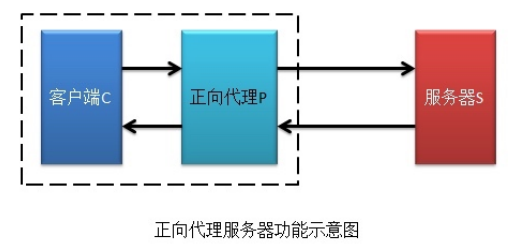 image-20210813151157427